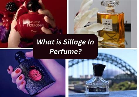 sillage meaning perfume.